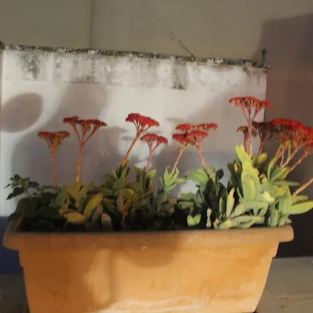 Apartament La Terrazza Sul Tempio