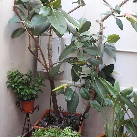 La Terrazza Sul Tempio Apartment Brindisi