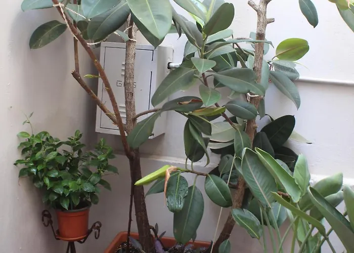 La Terrazza Sul Tempio Appartamento Brindisi