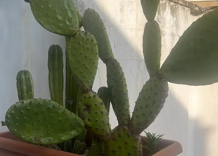 La Terrazza Sul Tempio Appartamento *